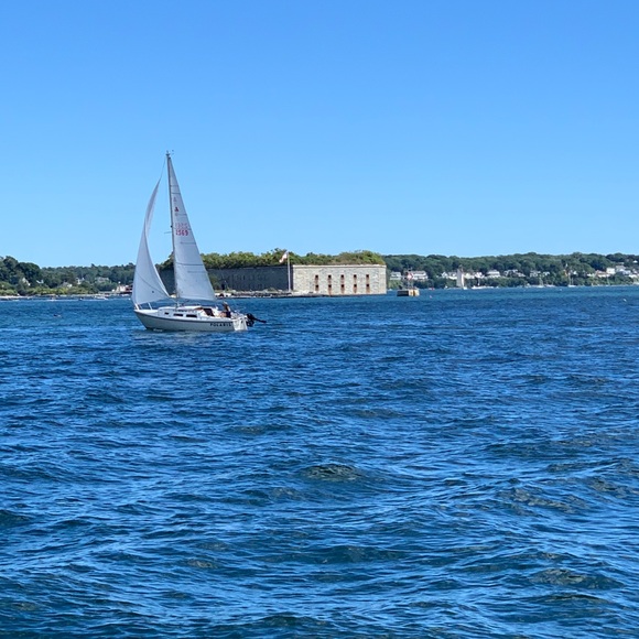 Meet your Posher, George - Picture 1 of 1